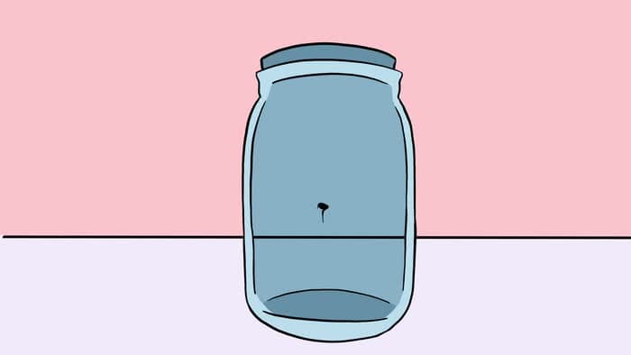 A Flea In A Jar